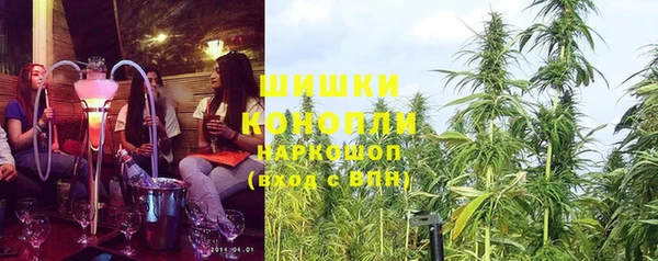 дурь Белокуриха