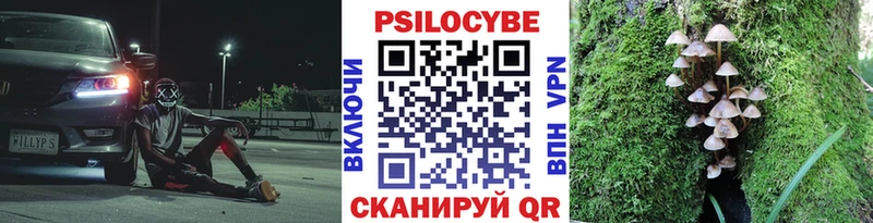 Псилоцибиновые грибы Magic Shrooms  даркнет формула  Севск  KRAKEN ONION 
